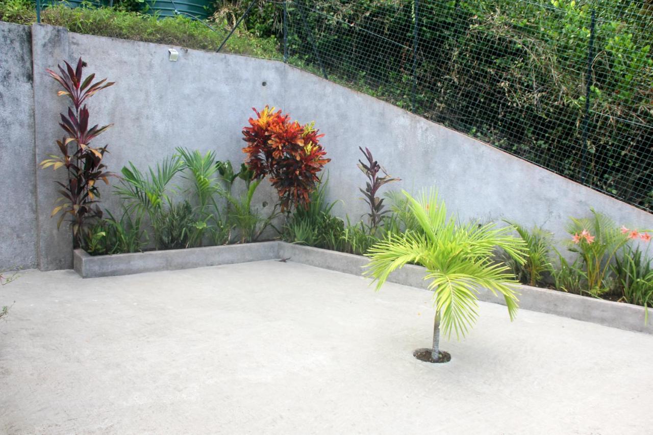 Exotic Guest House Anse Volbert Village  Luaran gambar